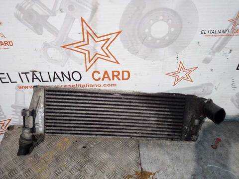 Foto 2ª: Intercooler Renault Megane CONFORT AUTHENTIQUE BERLINA 120CV 88KW II BERLINA 5P [F9Q B8] (2003)
