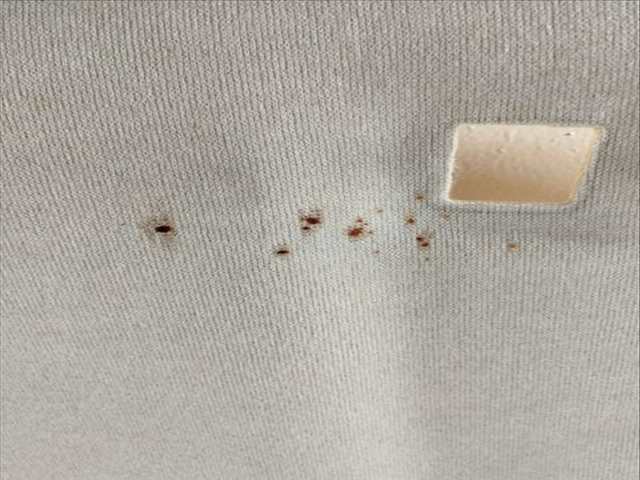 Foto 3ª: Techo Interior Citroen C3 1.4 HDI 68CV 50KW [8HR] (2011)