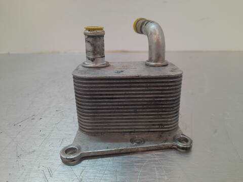 Foto 2ª: Radiador Aceite Ford Focus AMBIENTE BERLINA 90CV 66KW [C9DB] (2002)