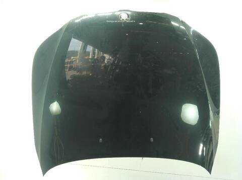Capot Bmw Serie 5 518 530 D XDRIVE