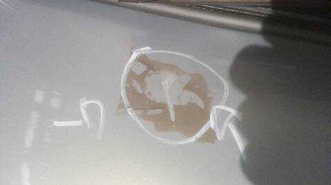 Foto 3ª: Portón Renault Scenic 163CV 120KW