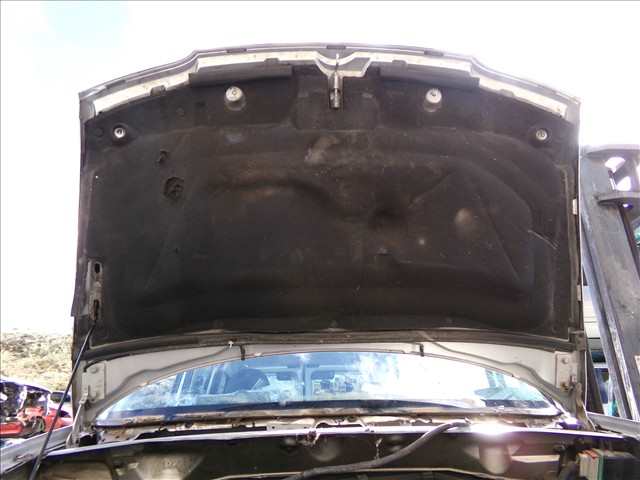 Foto 2ª: Capot Citroen Berlingo 1.9 D 1996-2002 [WJZ] (2001)