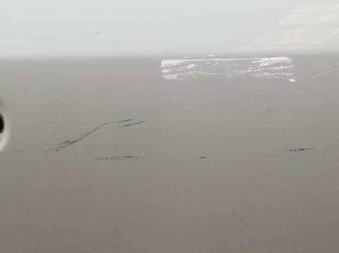 Foto 3ª: Puerta Trasera Derecha Toyota Avensis ACTIVE