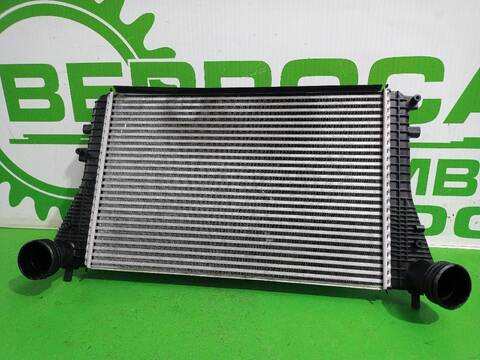 Intercooler Seat Altea 1.9 TDI 105CV