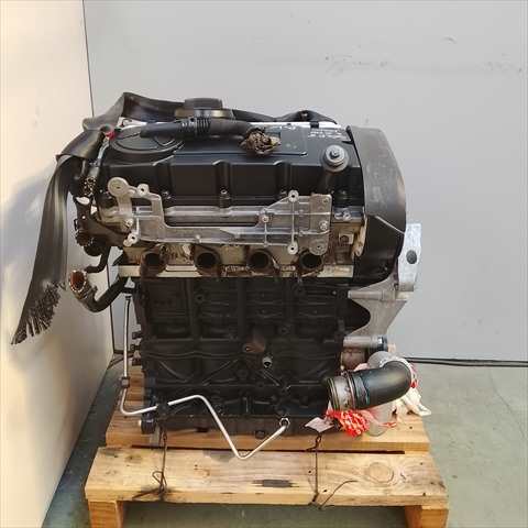 Foto 4ª: Motor Completo Volkswagen Golf 2.0 TDI 140CV [BKD] (2007)