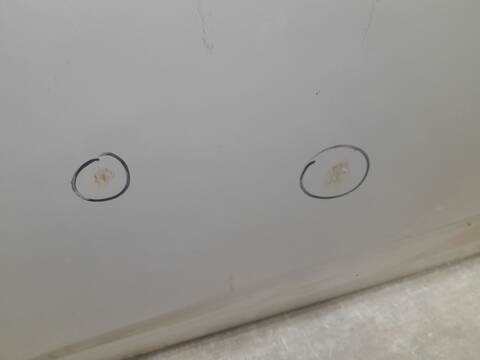 Foto 3ª: Puerta Delantera Izquierda Toyota Avensis ADVANCE 124CV 91KW [1ADFTV] (2015)