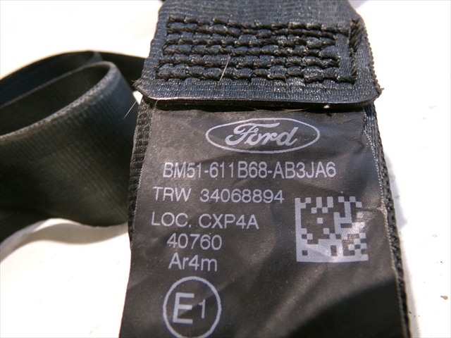 Foto 4ª: Cinturón Trasero Izquierdo Ford Focus 1.6 TDCI 2011-2014 [T3DB] (2011)