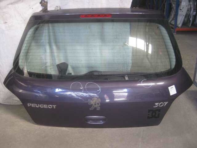 Portón Peugeot 307 1.6 HDI