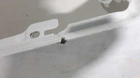 Foto 3ª: Aleta Delantera Izquierda Ford Transit 2.2 TDCI CAT 125CV 92KW (2013)