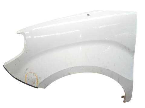 Foto 3ª: Aleta Delantera Izquierda Fiat Doblo 1.3 D MULTIJET 263WXU1A 263ZXU1A 263WYB1A 263ZYB1A) (2010)