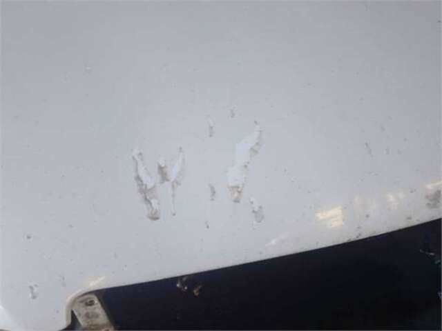 Foto 3ª: Capot Peugeot 307 1.6 HDI 110 [9HY (DV6TED4)]