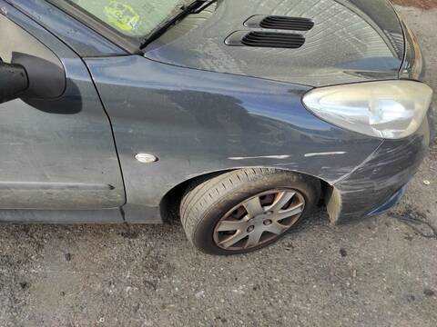 Aleta Delantera Derecha Peugeot 206 8HZ