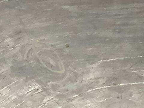 Foto 4ª: Puerta Trasera Izquierda Citroen C4 COLLECTION 109CV 80KW [9HZ] (2010)