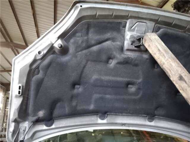 Foto 2ª: Capot Ford Focus 1.8 TDCI [KKDA]