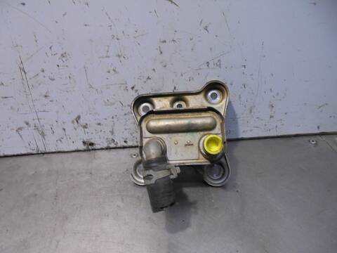 Foto 4ª: Radiador Aceite Ford Focus AMBIENTE BERLINA 90CV 66KW [C9DA] (2000)