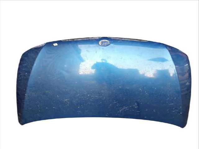 Capot Bmw Serie 3 318 2.0 122CV 90KW E91) TOURING