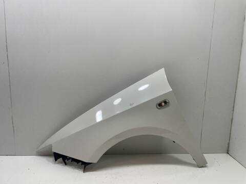 Aleta Delantera Izquierda Seat Ibiza BXW