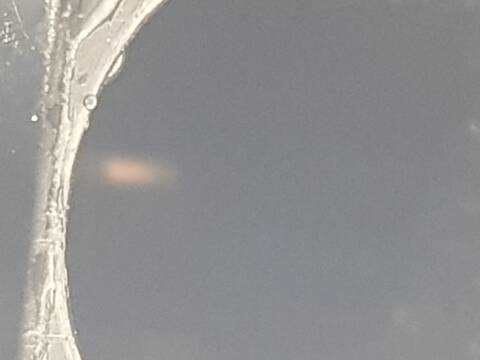 Foto 2ª: Alternador Mg ZS LUXURY (2022)