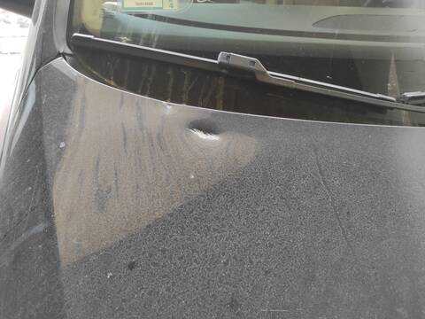 Foto 2ª: Capot Volkswagen Passat BMP BERLINA (2005)