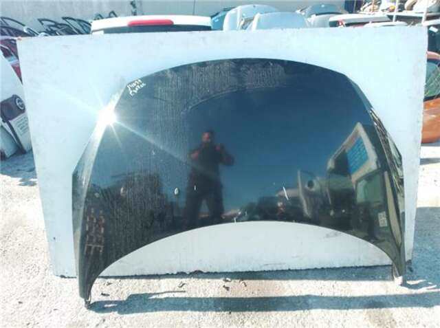 Capot Peugeot 307 1.6 BÁSICO [1.6 LTR. - 80 KW 16V CAT (NFU - TU5JP4)]