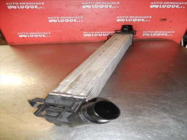 Foto 3ª: Intercooler Renault Scenic 1.9 DYNAMIQUE [1.9 LTR. - 96 KW DCI DIESEL FAP] [F9Q872]