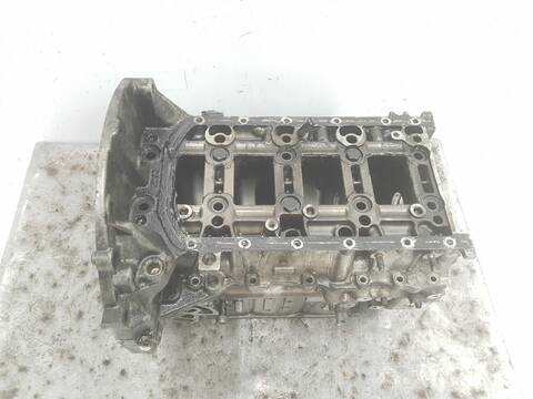 Bloque Motor Citroen Berlingo SX MULTISPACE