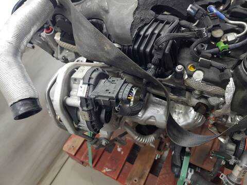Foto 3ª: Motor Completo Ford Transit 310 L1 TOURNEO ACTIVE (2017)