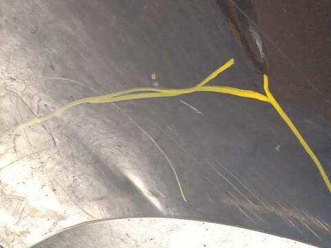 Foto 3ª: Puerta Trasera Izquierda Kia Sportage DRIVE 4X2 135CV 99KW [G4FD] (2014)