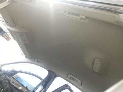 Foto 3ª: Techo Interior Audi A4 BASICO 143CV 105KW [CAG] (2009)