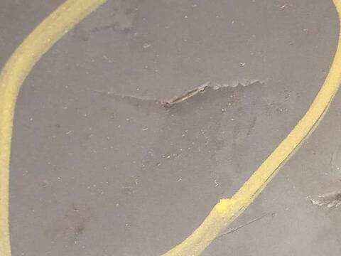 Foto 4ª: Abs Mitsubishi Space Star KAITEKI 80CV 59KW [3A92] (2016)