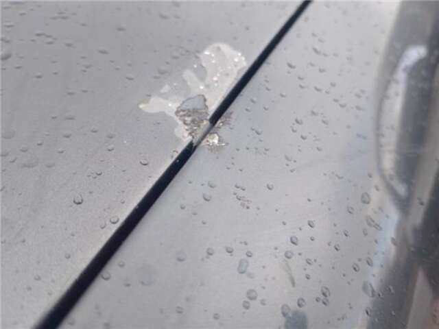 Foto 2ª: Aleta Delantera Izquierda Volkswagen Golf 1.9 TDI [ASZ]