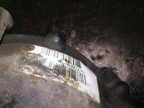 Foto 2ª: Diferencial Delantero Bmw X5 3.0D 184CV 135KW [306D1] (2001)