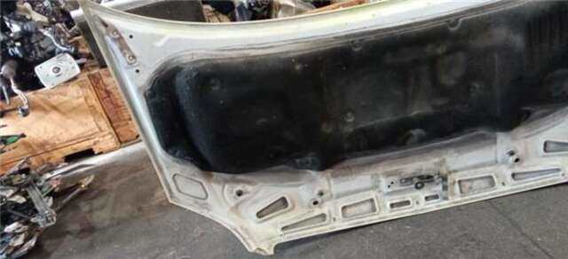 Foto 3ª: Capot Mercedes Sprinter 310 CDI [OM 651.955]