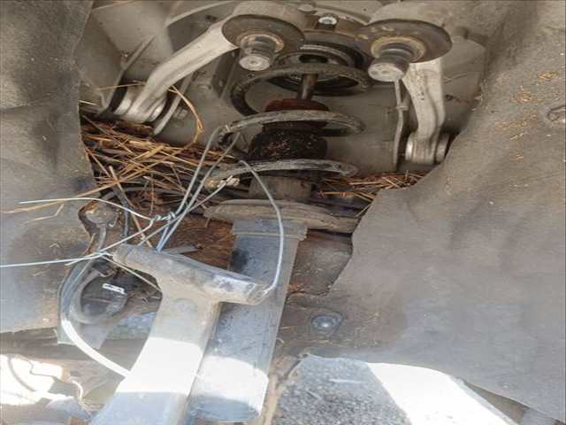 Amortiguador Delantero Derecho Audi A4 DEUA AVANT AUT.