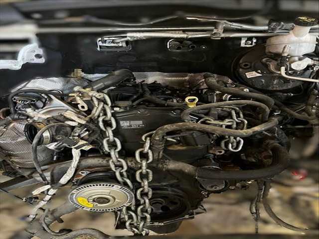 Motor Completo Ford Transit 2.0 ECOBLUE 4X4 170CV 125KW FURGONETA