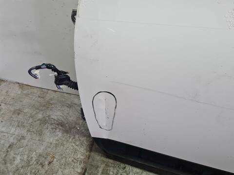 Foto 4ª: Puerta Delantera Izquierda Nissan Qashqai ACENTA 4X4 131CV 96KW [R9M] (2009)