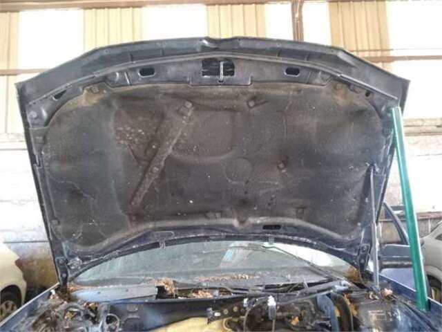 Foto 3ª: Capot Volkswagen Golf 1.9 TDI [AJM]