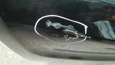 Foto 2ª: Portón Ssangyong Actyon 200 XDI 141CV 104KW [D20DT] (2007)