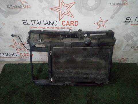 Panel Frontal Peugeot 207 XS 90CV 66KW