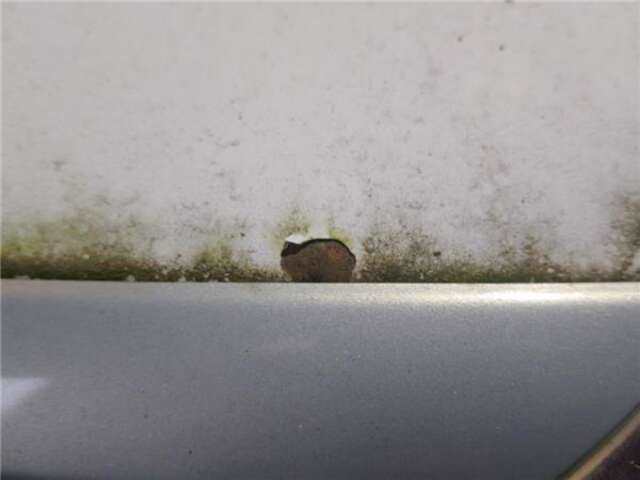 Foto 3ª: Capot Citroen Xsara 2.0 HDI [RHY (DW10TD)]