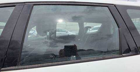 Luna Trasera Izquierda Renault Scenic PRIVILEGE 131CV 96KW