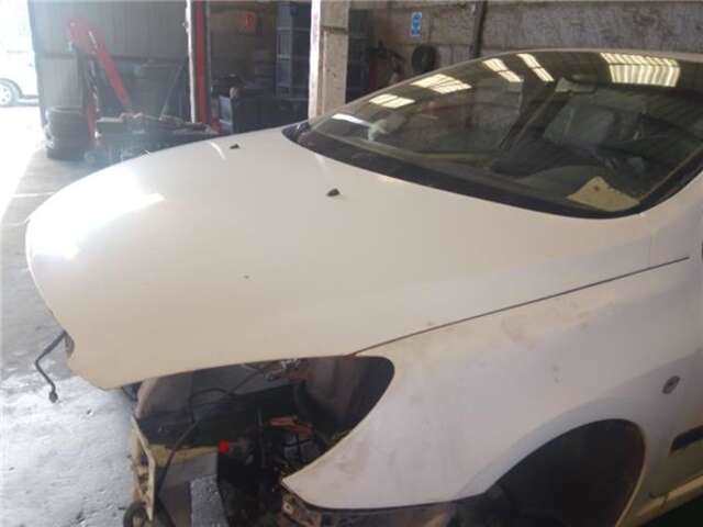 Foto 3ª: Capot Peugeot 307 2.0 HDI 90 [RHY (DW10TD)]