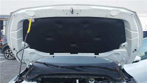 Foto 2ª: Capot Ford Focus 1.0 ECOBOOST TURNIER 125CV 92KW [B7DA] (2018)